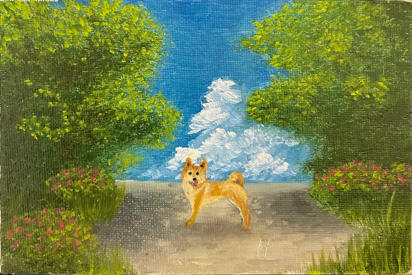 Shiba in Summer